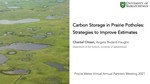 Carbon Storage in Prairie Potholes: Strategies to Improve Estimates (recorded video presentation)
